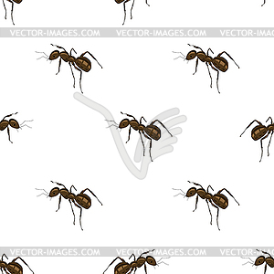 Ant  - vector image