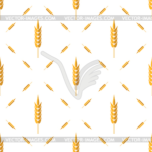 Seamless Wheat Pattern. Set of Ears - vector clipart