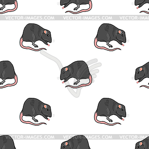 Domestic Rats Seamless Pattern - vector image