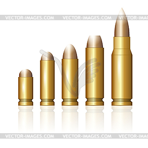 Set of Different Bullets - vector image
