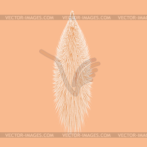 Animal Fur Tail on Orange Background - vector clipart