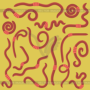 Animal Earth Red Worms - vector EPS clipart
