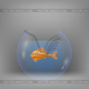 Red Fisn Swims in Aquarium - vector clip art
