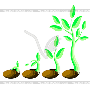 Phases Plant Growth. Little Green Sprout Seedling - vector image