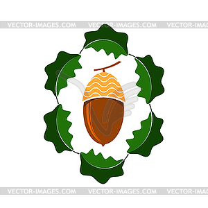 Ripe Acorn Icon. Autumn Oak Nut and Leaves Logo - color vector clipart