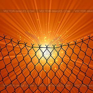 Sun and Wire Barb. Freedom Concept. Peace Day - vector clipart