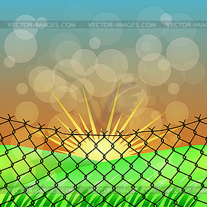 Sun and Wire Barb. Freedom Concept. Peace Day - vector clipart