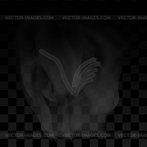 Water Vapor or Transparent Smoke on Checkered - vector image