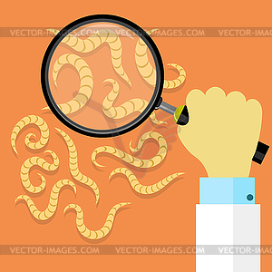 Ascarid, Helminth Pinworm Threadworm. Set of - vector clipart