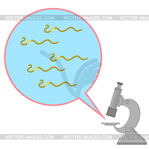 Worms and Microscope Dangerous Bad Parasites. - vector image