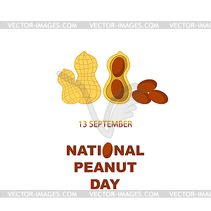 Tasty Peanut Set . Nut Seeds - vector image