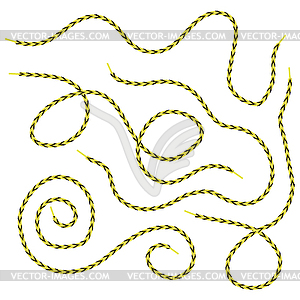 Set of Yellow Shoelace - vector clipart