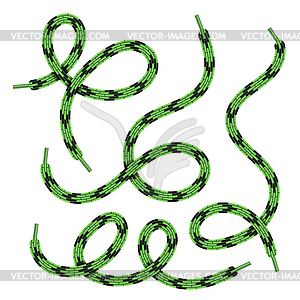 Set of Green Shoelace - vector clip art