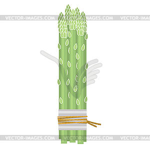 Tasty Fresh Green Asparagus Set . Best Food For - vector clip art