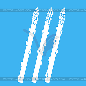 Tasty Fresh White Asparagus Set on Blue - vector image