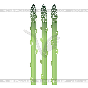 Tasty Fresh Green Asparagus Set . Best Food For - vector clip art