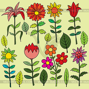 Various summer flowers - vector clipart