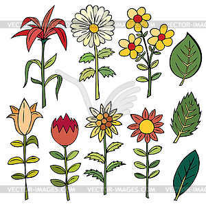 Various summer flowers - vector clipart / vector image