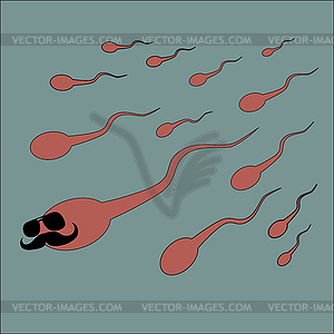 Sperm tend to fertilize - vector clipart