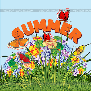 Various summer flowers - vector clipart