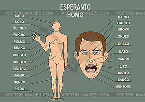 Учебное пособие для изучения языка эсперанто. человек - векторный клипарт / векторное изображение