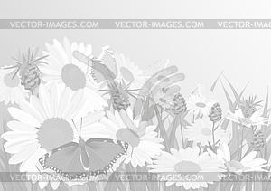 Background made up of flowers and plants. Herbs - vector image