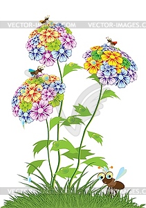 Various summer flowers - vector image