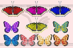 Set of butterflies of different colors - vector clipart