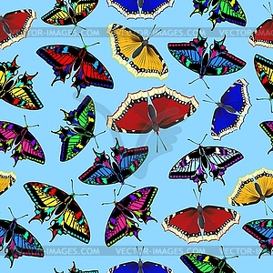 Colored butterflies on light background - color vector clipart