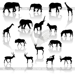 Animals of Africa - white & black vector clipart