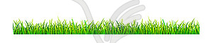 Grassy lawn - vector image