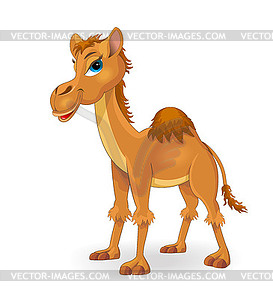 Lovely camel - vector clipart