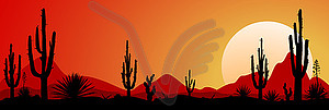 Mexico desert sunset  - vector image