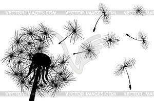 Одуванчик, растение - изображение в векторе