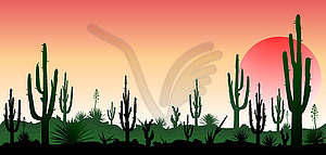 Stony desert, sunset - vector clip art