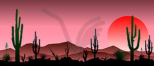 Red stony desert, cacti, sunset - vector image