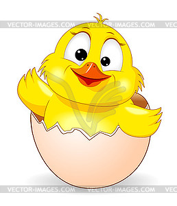 Cute chick was born  - vector image