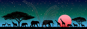 Wild animals in night African savannah - vector image