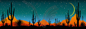 Starry night over Mexican desert - vector clipart