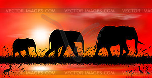 Elephants at sunset by lake - vector EPS clipart