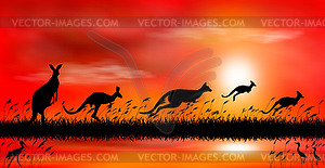 Kangaroo at sunset by lake - vector clipart