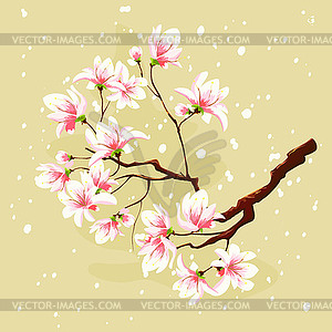 Cherry blossom branch and flying petals - royalty-free vector clipart