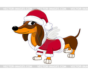 Dachshund dog dressed as Santa - vector clip art