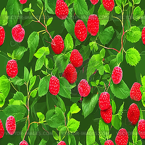 Creative seamless background of raspberry berries - vector clipart