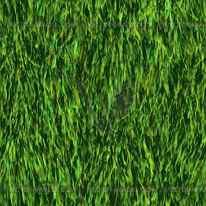 Creative lawn - vector clip art