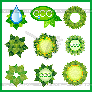 Set of decorative elements for eco design - vector image