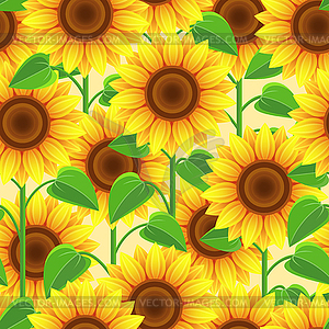 Bright seamless pattern with flowers sunflowers - vector image