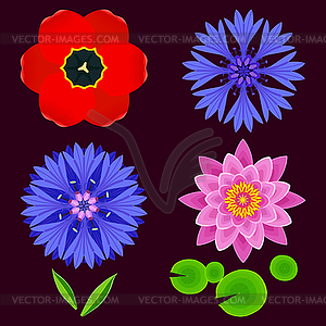 Set of flowers lotus, cornflower, tulip - vector clip art