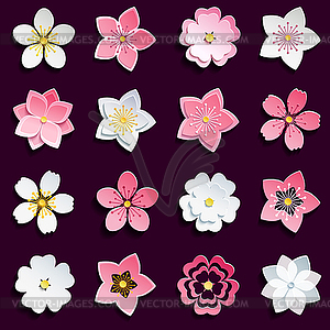 Set of cherry blossom, sakura flowers - vector clipart