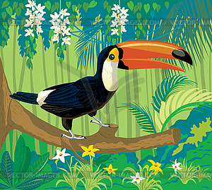 Птица Тукан в природе - цветной векторный клипарт